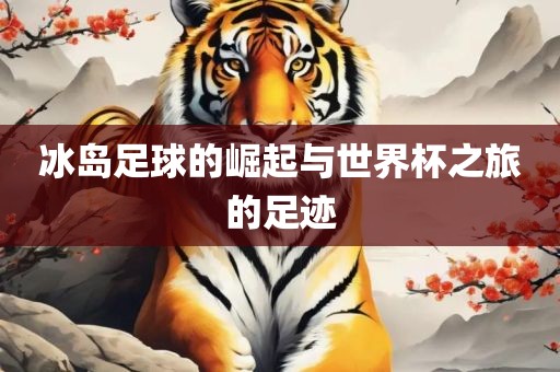 冰岛足球的崛起与世界杯之旅的足迹漯河市盈旭机械设备有限公司