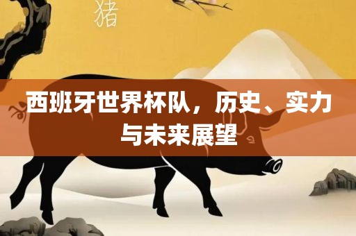 西班牙世界杯队，历史、实力与未来展望漯河市盈旭机械设备有限公司