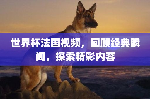世界杯法国视频，回顾经典瞬间，探索精彩内容