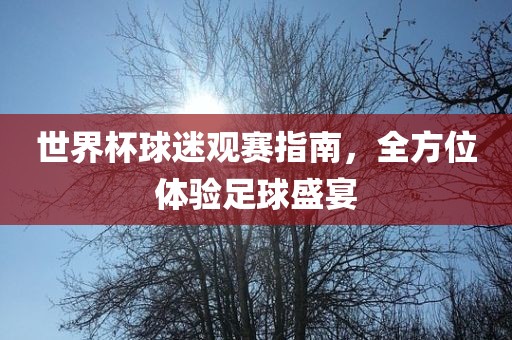 足球盛宴体验
