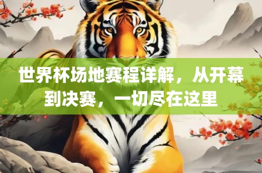 世界杯场地赛程详解，从开幕到决赛，一切尽在这里