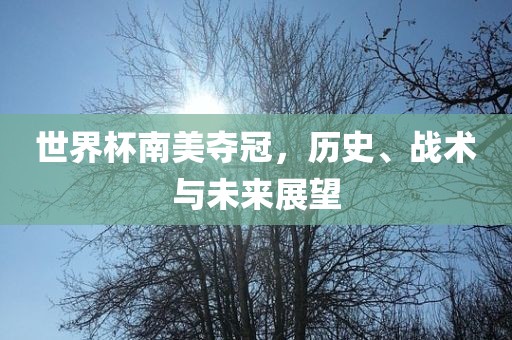 世界杯南美夺冠，历史、战术与未来展望