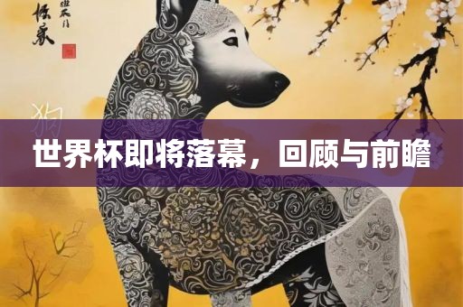 世界杯即将落幕，回顾与前瞻