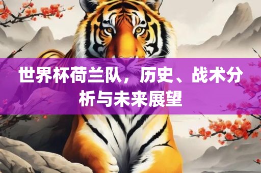 世界杯荷兰队，历史、战术分析与未来展望