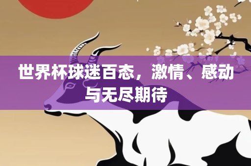 世界杯球迷百态，激情、感动与无尽期待