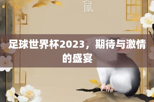 足球世界杯2023，期待与激情的盛宴