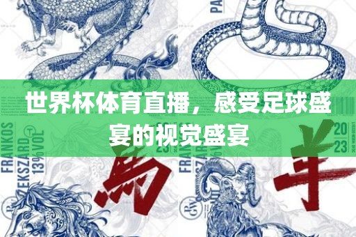 世界杯体育直播，感受足球盛宴的视觉盛宴