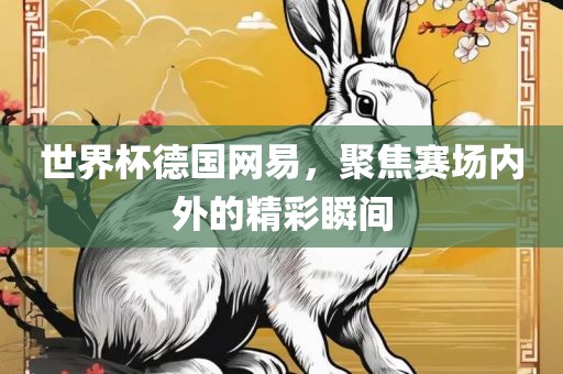 世界杯德国网易，聚焦赛场内外的精彩瞬间