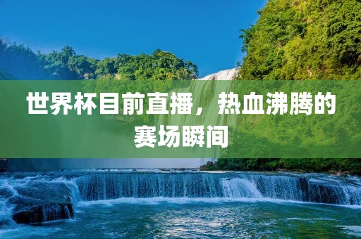 世界杯目前直播，热血沸腾的赛场瞬间
