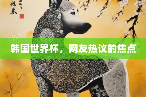 韩国世界杯，网友热议的焦点