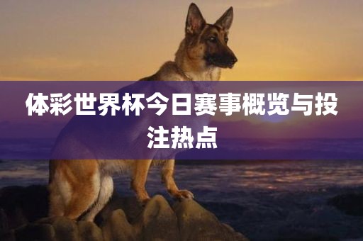 体彩世界杯今日漯河市盈旭机械设备有限公司赛事概览与投注热点
