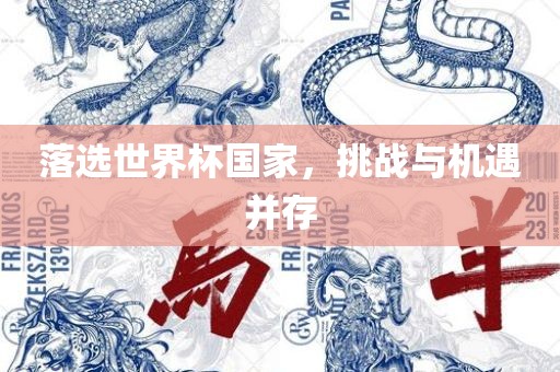 落选世界杯国家，挑战与机遇并存