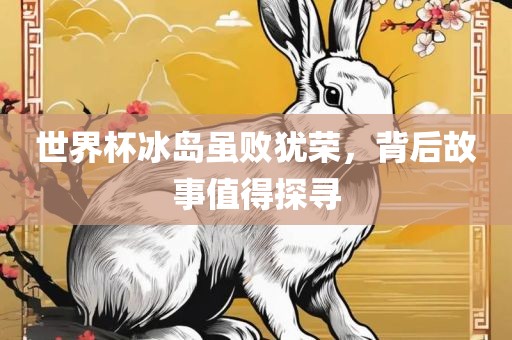 世界杯冰岛虽败犹荣，背后故事值得探寻