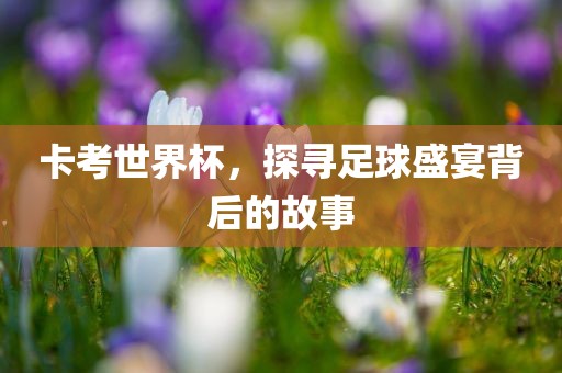 卡考世界杯，探寻足球盛宴背后的故事漯河市盈旭机械设备有限公司