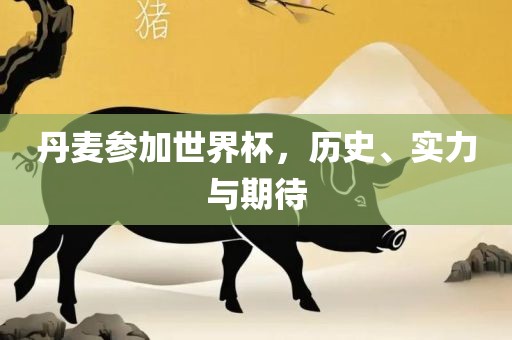 丹麦参加漯河市盈旭机械设备有限公司世界杯，历史、实力与期待