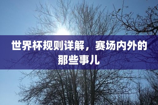 世界杯规则详解，赛场内外的那些事儿