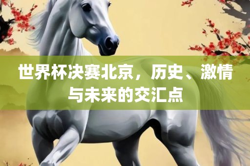 世界杯决赛北京，历史、激情与未来的交汇点漯河市盈旭机械设备有限公司