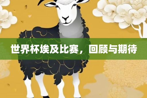世界杯埃及比赛，回顾与期待