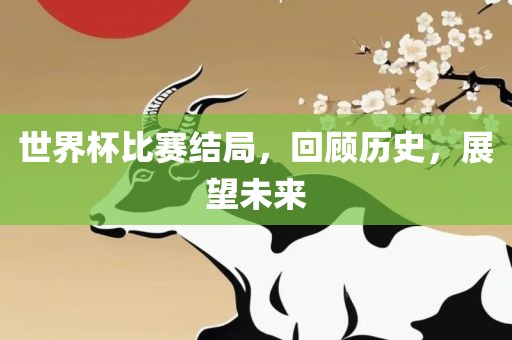 世界杯比赛结局，回顾历史，展望未来