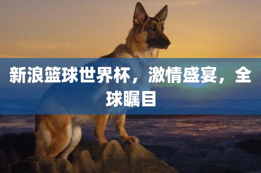 新浪篮球世界杯，激情盛宴，全球瞩目