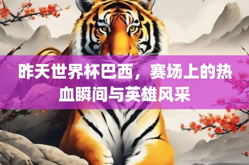 昨天世界杯巴西，赛场上的热血瞬间与英雄风采