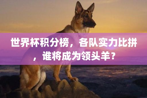 世界杯积分榜，各队实力比拼，谁将成为领头羊？