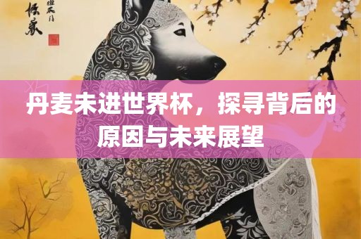 丹麦未进世界杯，探寻背后的原因与未来展望
