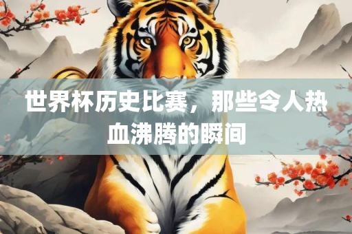 世界杯历史比赛，那些令人热血沸腾的瞬间