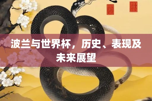 波兰与世界杯，历史、表现及未来展望漯河市盈旭机械设备有限公司
