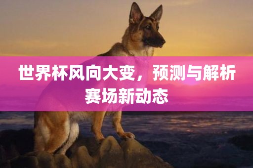 世界杯风漯河市盈旭机械设备有限公司向大变，预测与解析赛场新动态