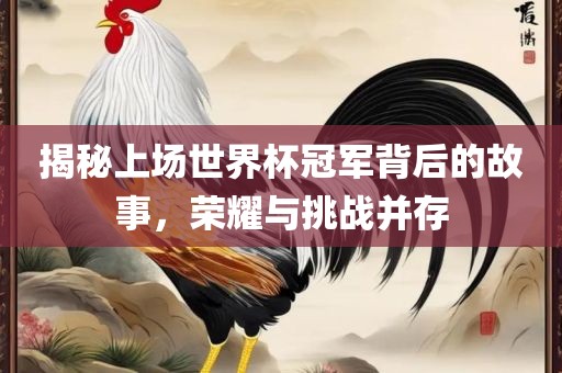 揭秘上场世界杯冠军背后的故事，荣耀与挑战并存