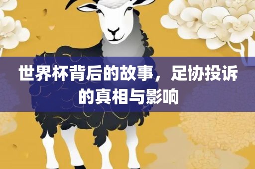 世界杯背后的故事，足协投诉的真相与影响