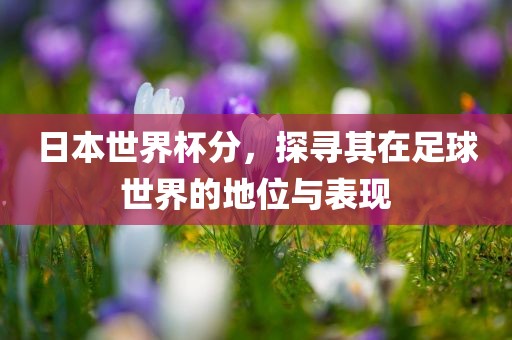 日本世界杯分，探寻其在足球世界的地位与表现