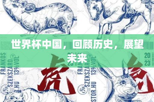 世界杯中国，回顾历史，展望未来