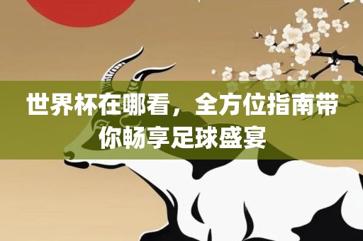 世界杯在哪看，全方位指南带你畅享足球盛宴
